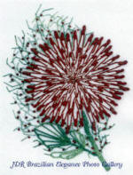 Cactus Dahlia by Virginia Chapman, Floss Flowers a Brazilian Dimensional embroidery design 