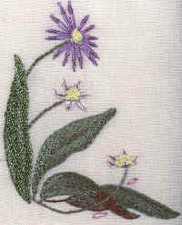 The Last Aster Brazilian Embroidery Pattern